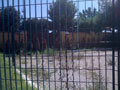 Highslide JS